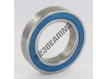 6010-2RS-INOX