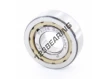 NUP202-ECPHA-C3-SKF