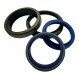 RDE-28X36X4.50-5.80-NBR90