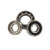 W61705-2RS1-SKF