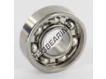 W619-8-SKF